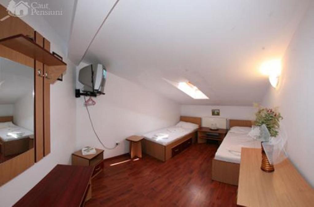 Pensiunea Ramona Tulcea Habitación foto